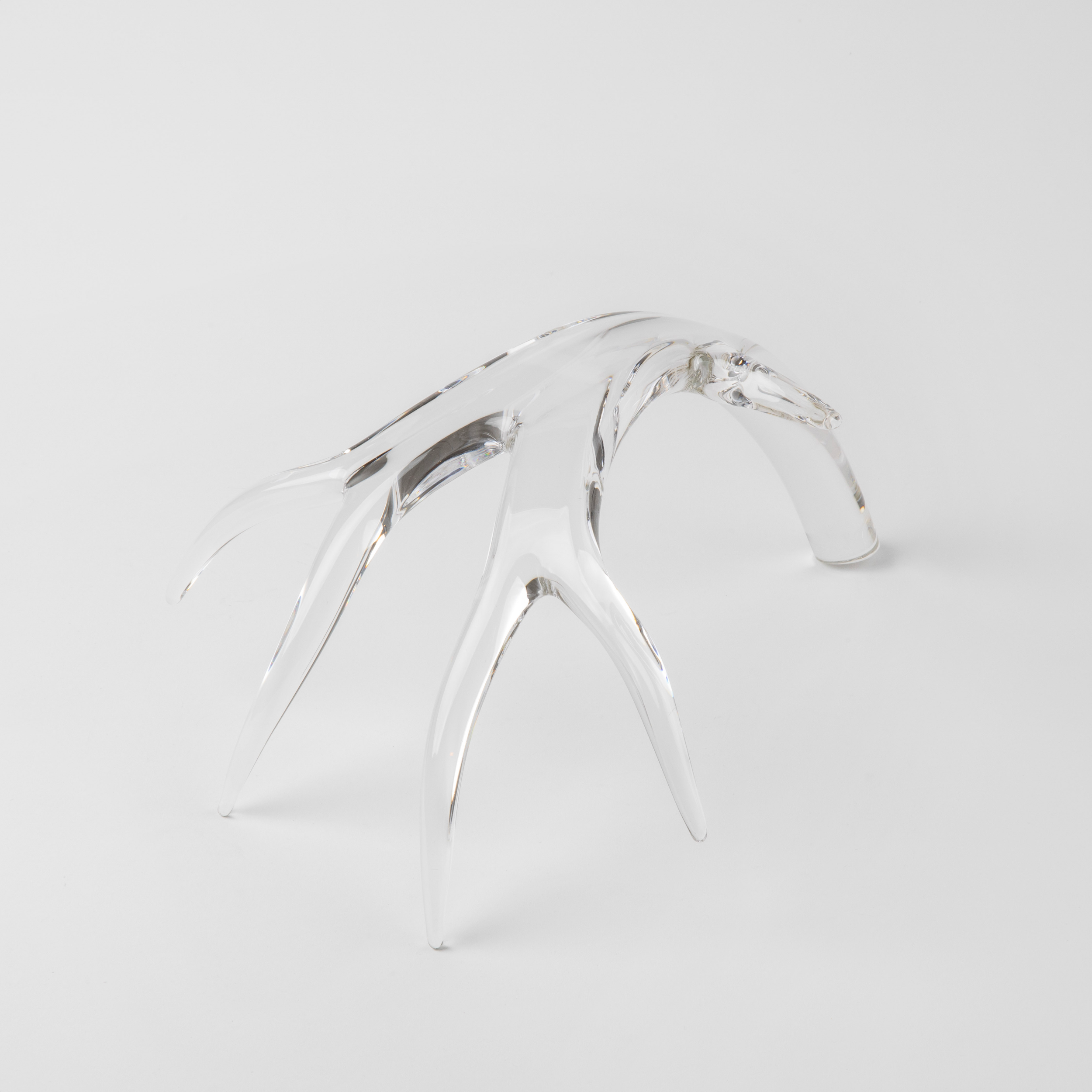 LWSN<br> Glass Antler