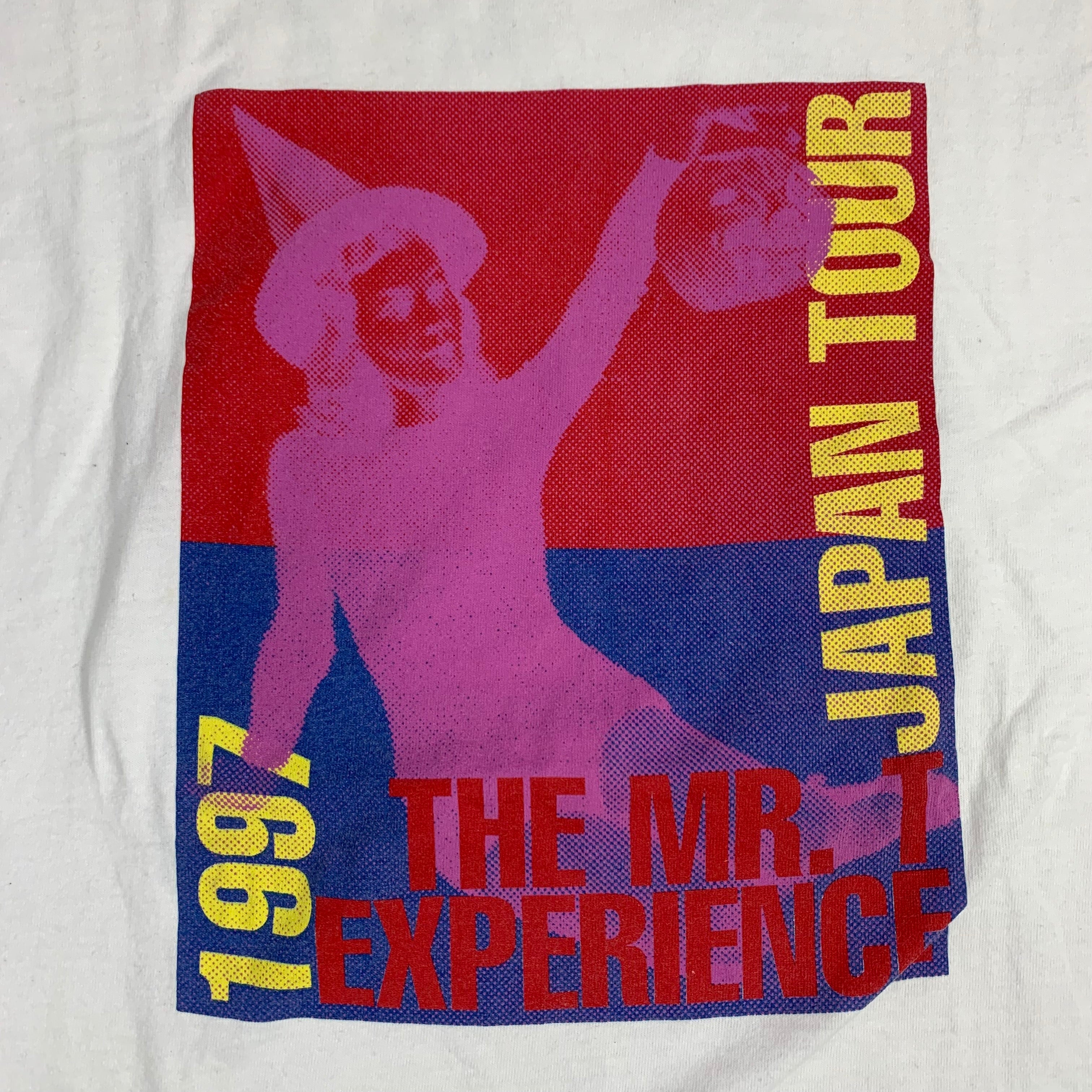 Vintage The Mr. T Experience 