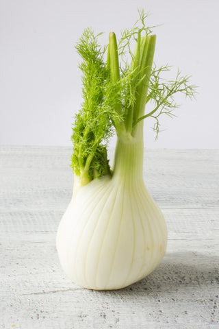 Fennel