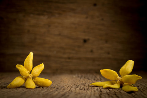 Ylang Ylang - Hormone Balance Essential Oil