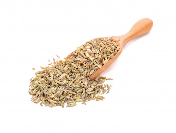 Fennel - Lactation Herbs