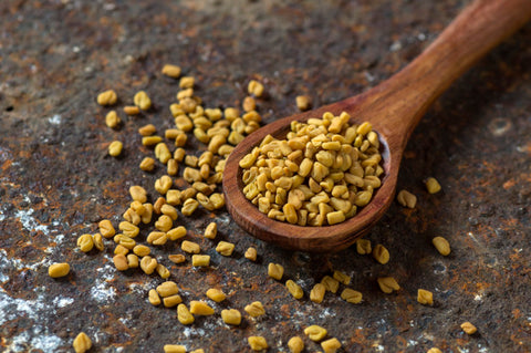 Fenugreek - Lactation Herbs