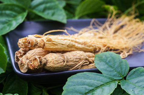 Korean Ginseng