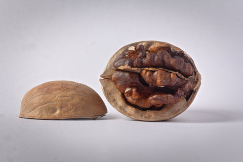 Fertility Boosting Foods - Walnuts