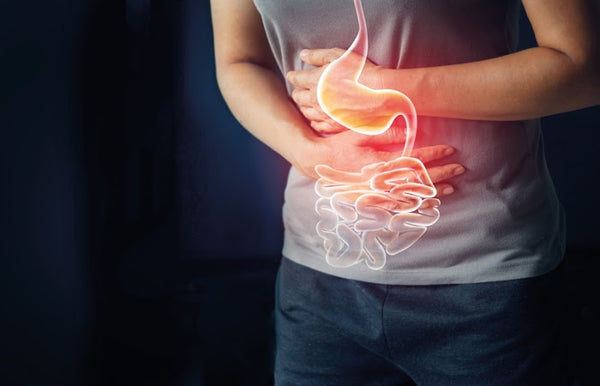 Digestive issues could be caused by hormone imbalance