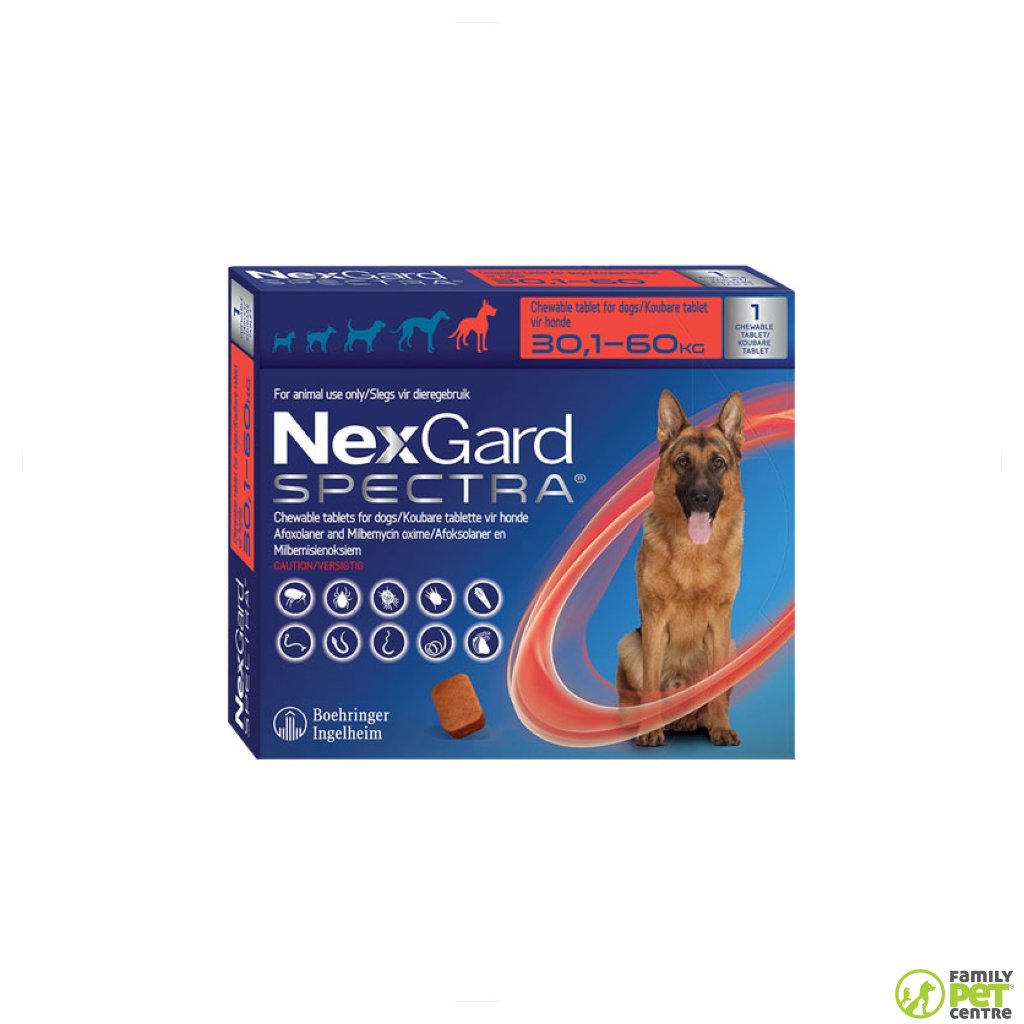 best flea and tick medicine for dogs