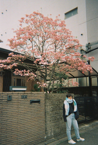 Isabella Schimid and daughter in Japan in front of cherry blossom tree