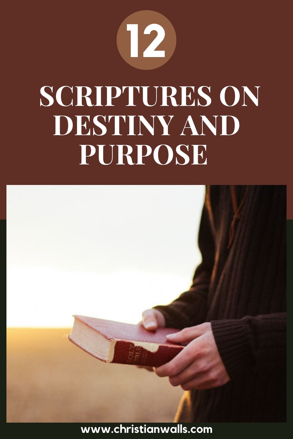 12 Scriptures on Destiny and Purpose  Bible Verses About God’s Plan for You