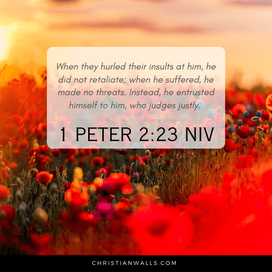 1 Peter 2:23 NIV images pictures quotes