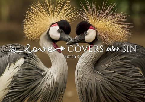 2. Love Covers Over Sin Wall Art - Gifts for Sunday School Students