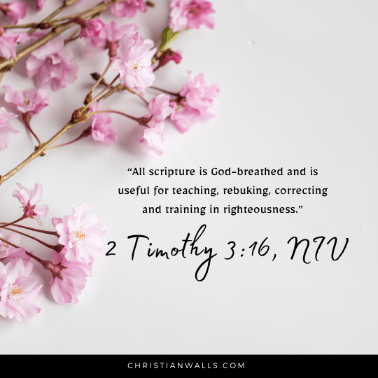 2 Timothy 3:16, NIV images pictures quotes