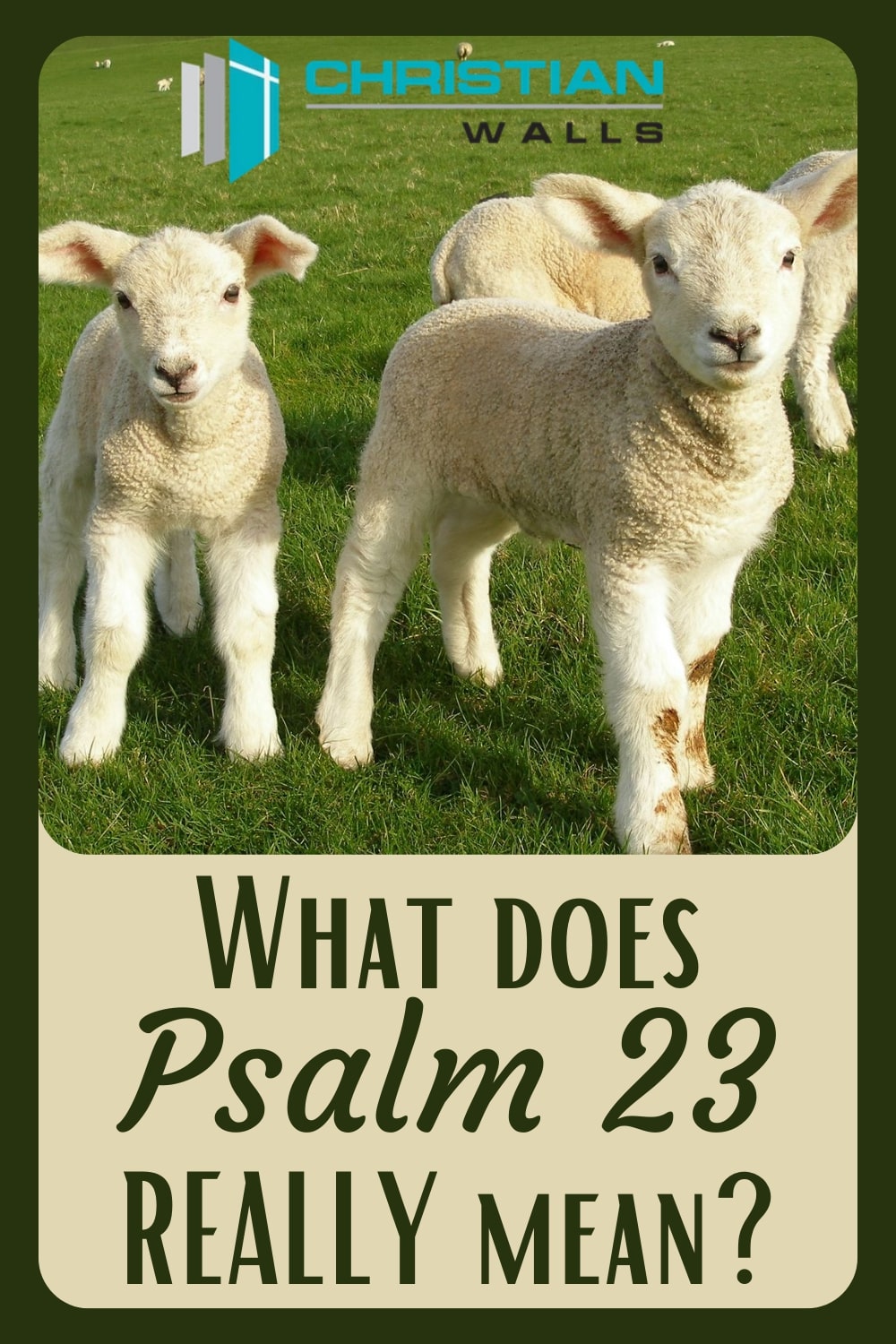 Salmo 23 Psalm 23