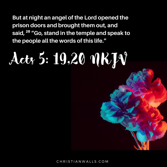 Acts 5:19,20 NKJV images pictures quotes
