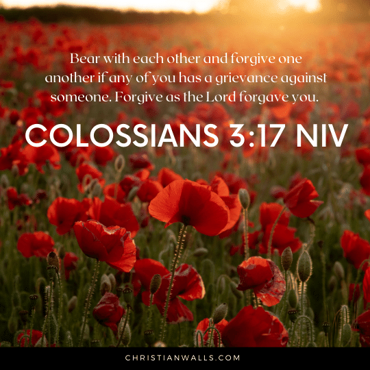 Colossians 3:17 NIV images pictures quotes