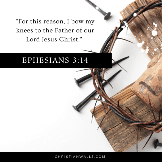 Ephesians 3:14 images pictures quotes