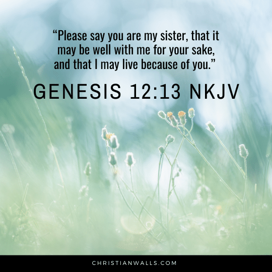 Genesis 12:13 NKJV images pictures quotes