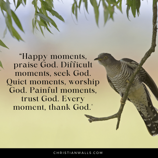 Happy moments, praise God images pictures quotes