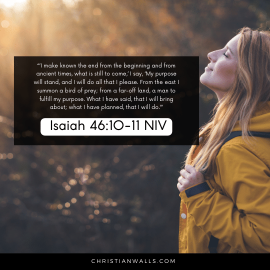 Isaiah 46:10-11 NIV images pictures quotes