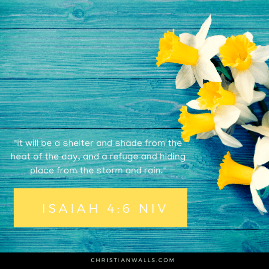 Isaiah 4:6 NIV images pictures quotes