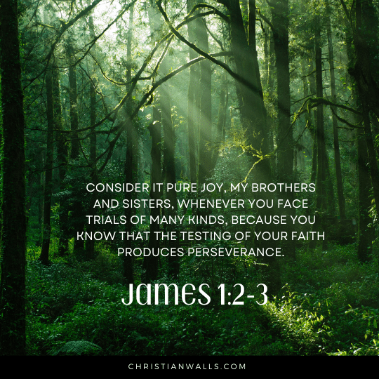 James 1:2-3 images pictures quotes