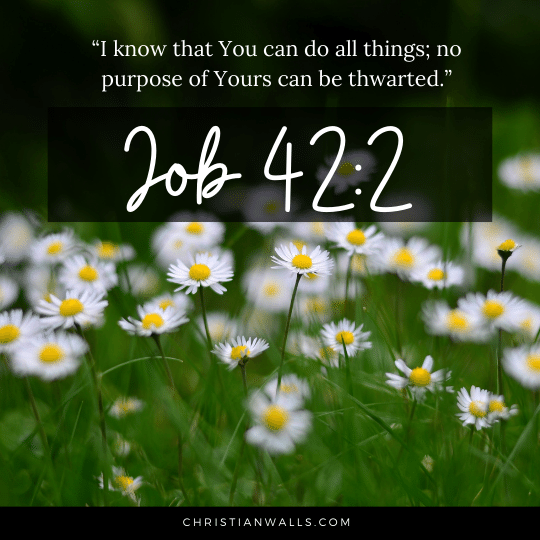 Job 42:2 images pictures quotes