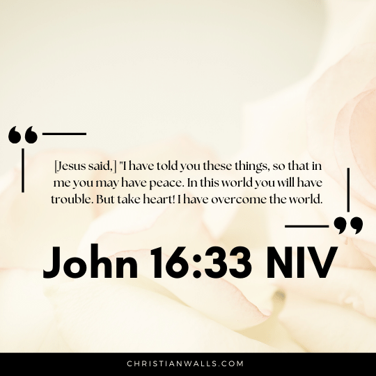 John 16:33 NIV images pictures quotes