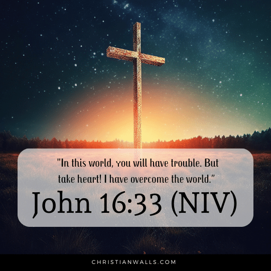 John 16:33 (NIV) images pictures quotes