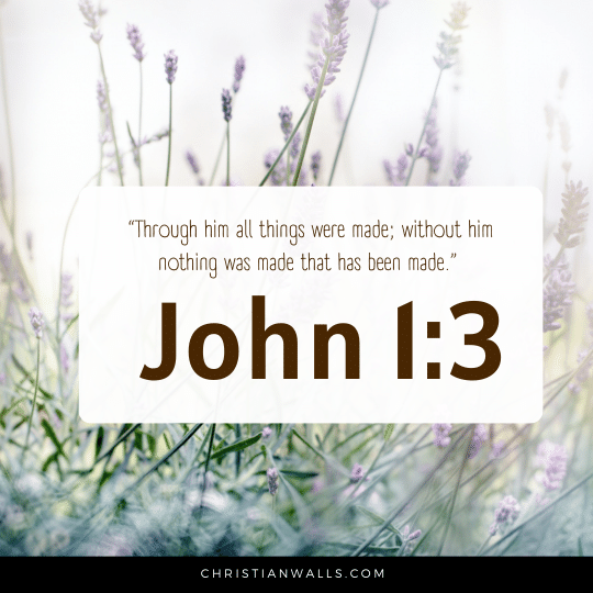 John 1:3 images pictures quotes