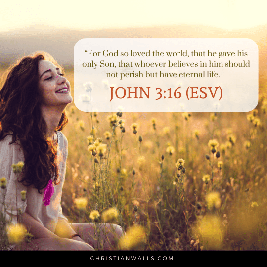 John 3:16 (ESV) images pictures quotes