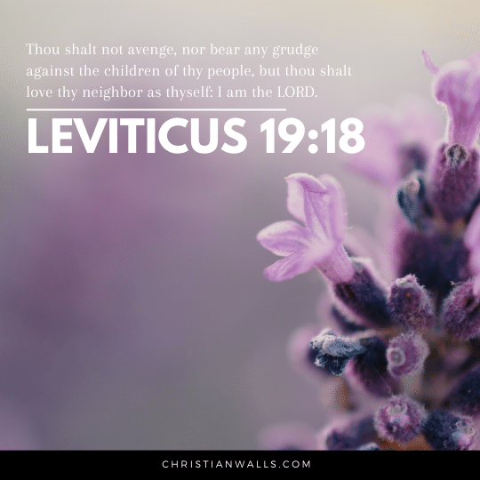 Leviticus 19:18 images pictures quotes