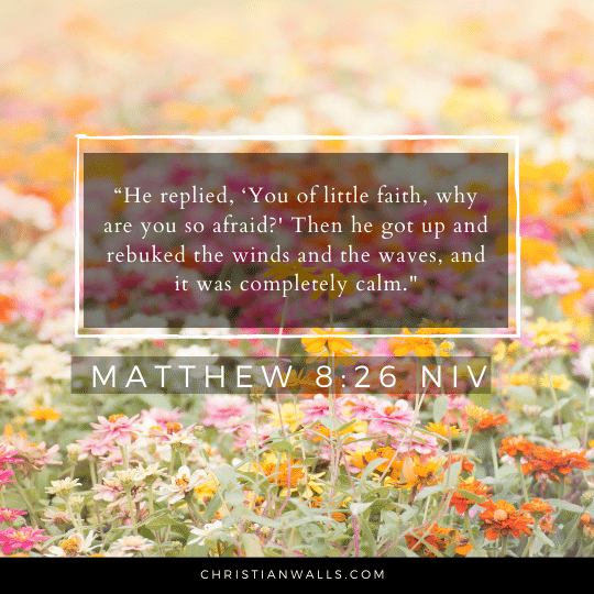 Matthew 8:26 NIV images pictures quotes