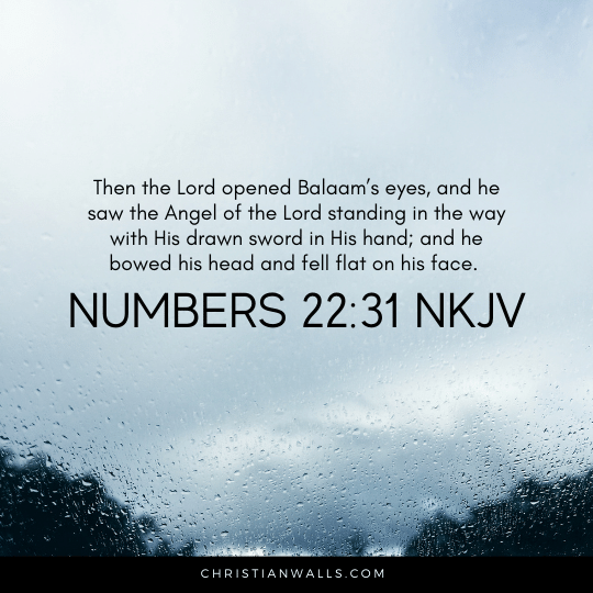 Numbers 22:31 NKJV images pictures quotes