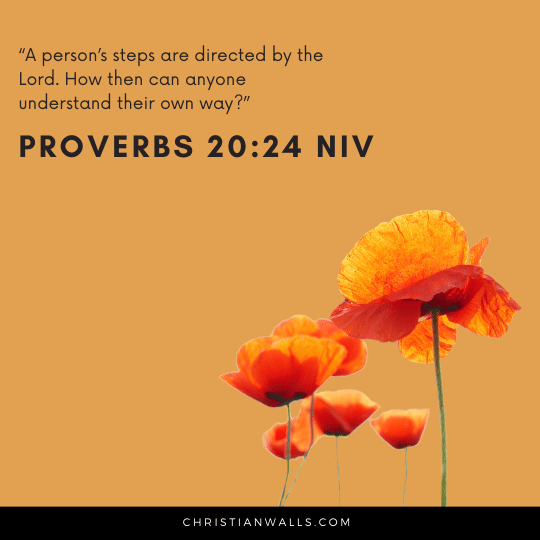 Proverbs 20:24 NIV images pictures quotes