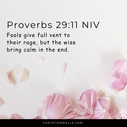 Proverbs 29:11 NIV images pictures quotes