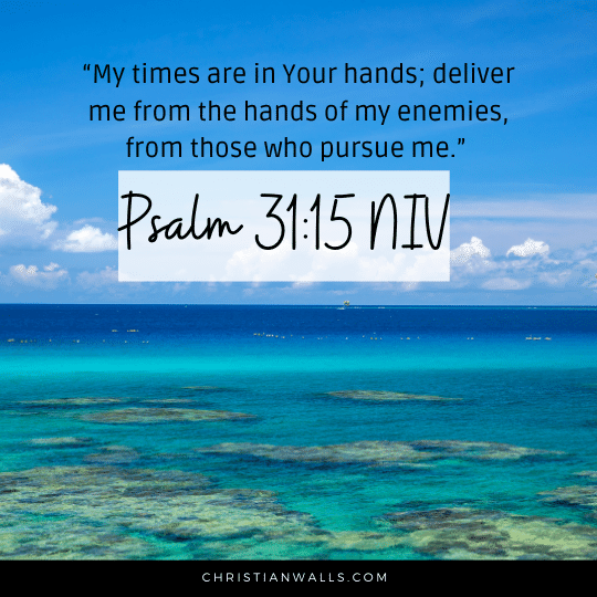 Psalm 31:15 NIV images pictures quotes