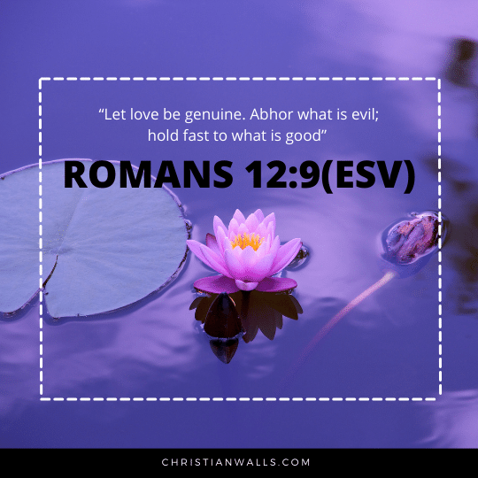 Romans 12:9(ESV) images pictures quotes