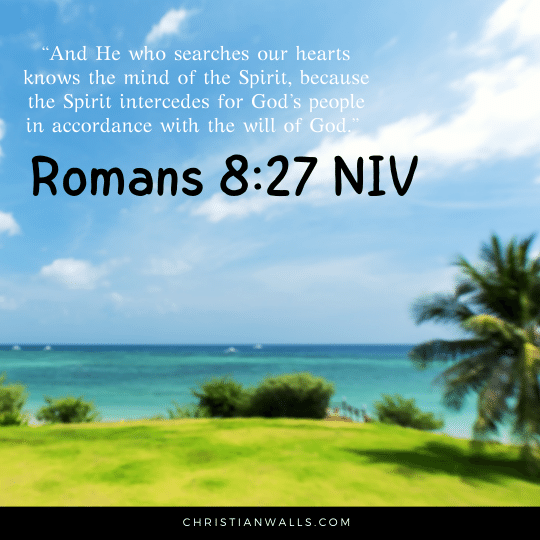 Romans 8:27 NIV images pictures quotes