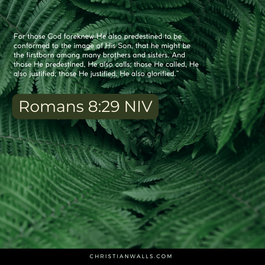 Romans 8:29 NIV images pictures quotes