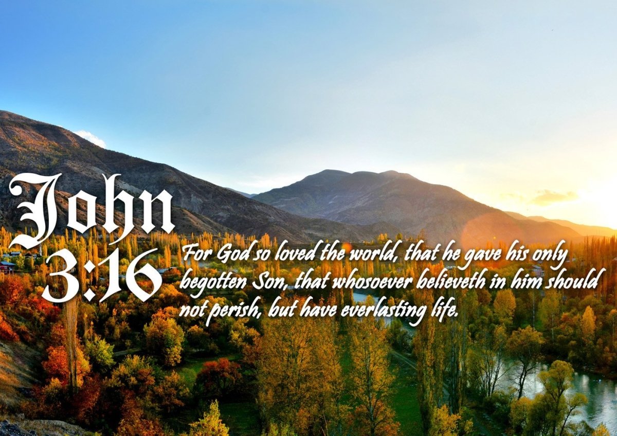 bible verse john 3 16