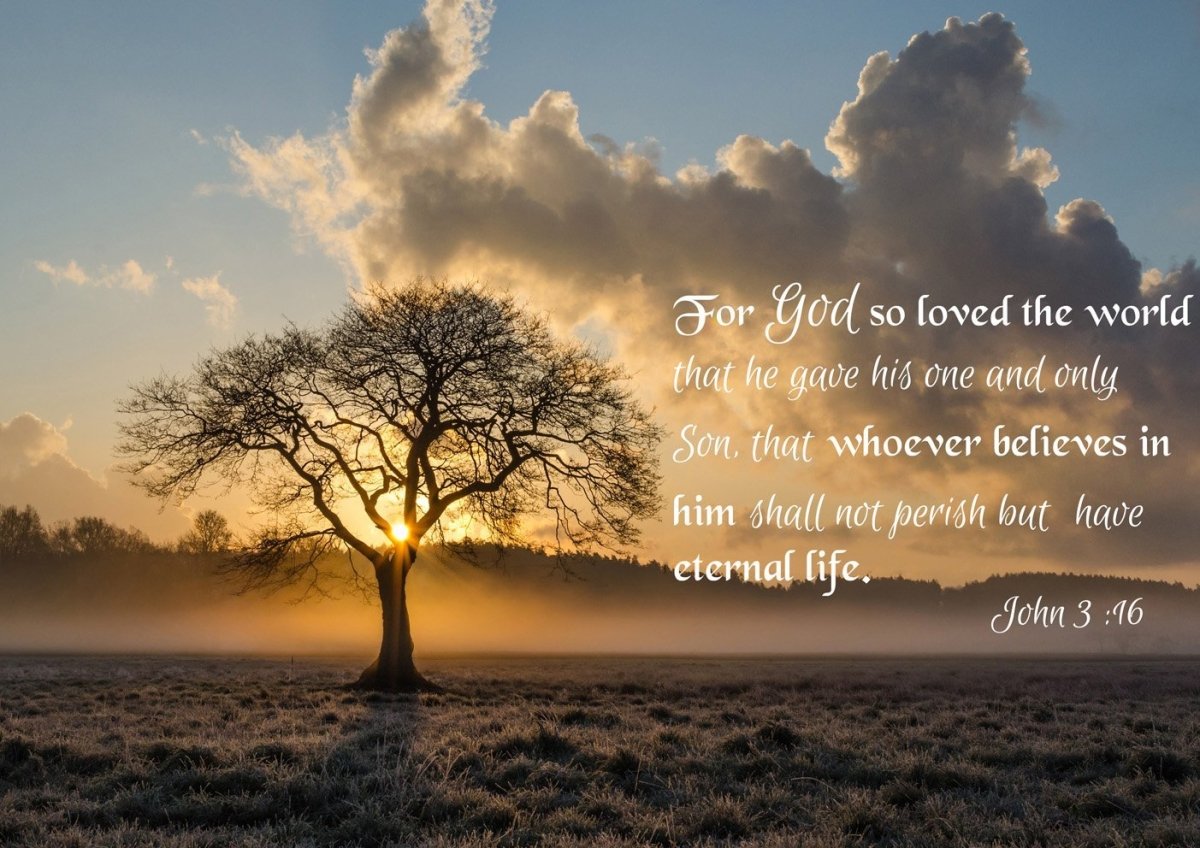 bible verse john 3 16 wallpaper