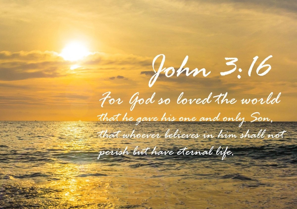 john 316 bible verse images