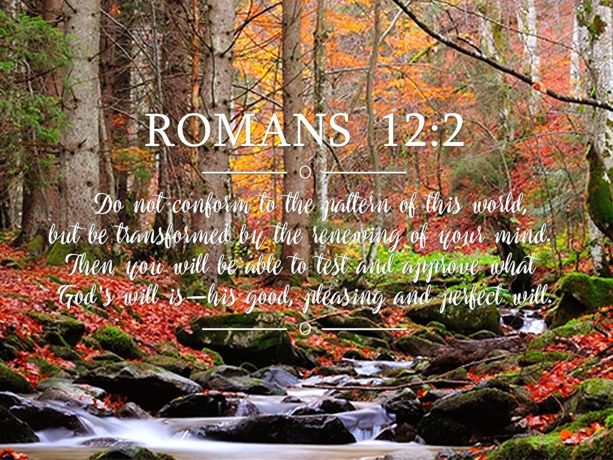 romans-12-2-7-niv-do-not-conform-to-the-pattern-bible-verse-wall-art