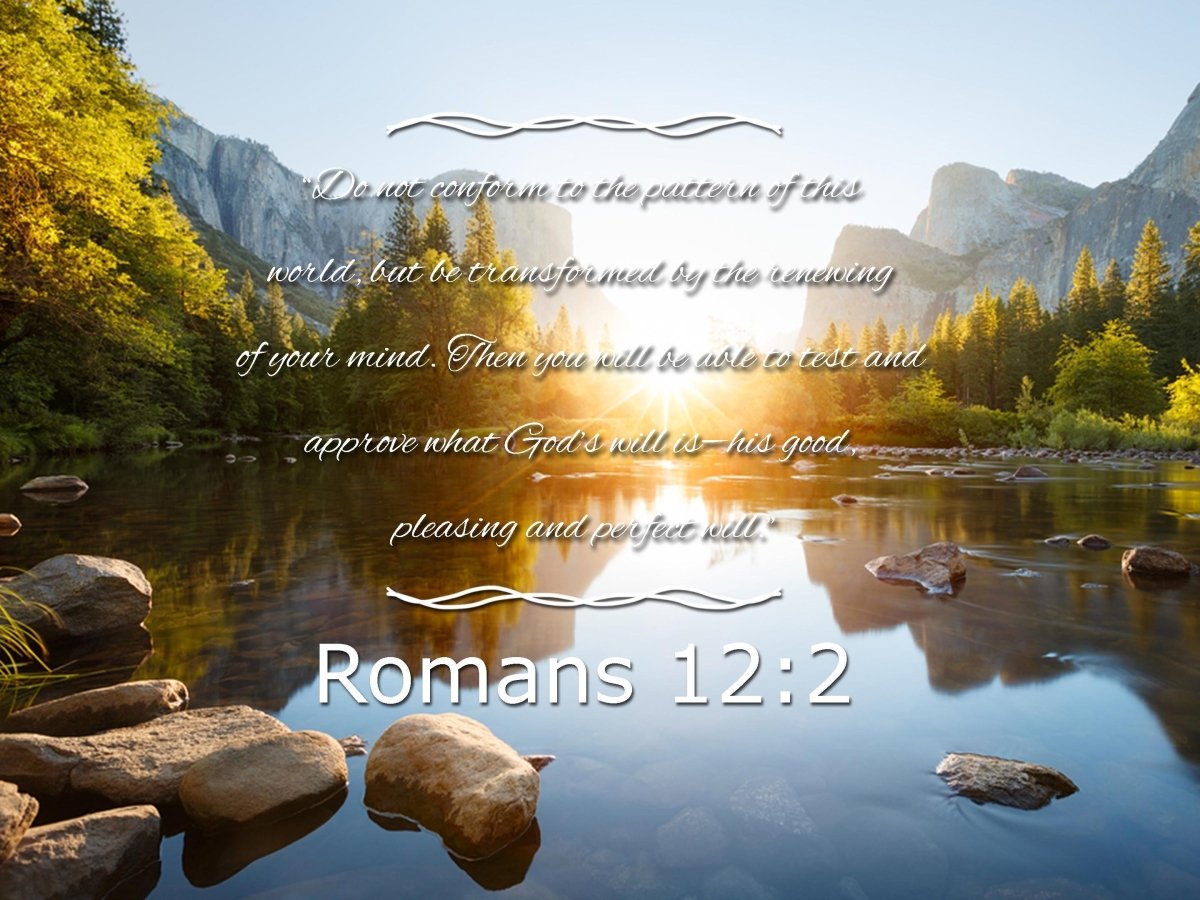 romans-12-2-8-niv-do-not-conform-to-the-pattern-bible-verse-wall-art