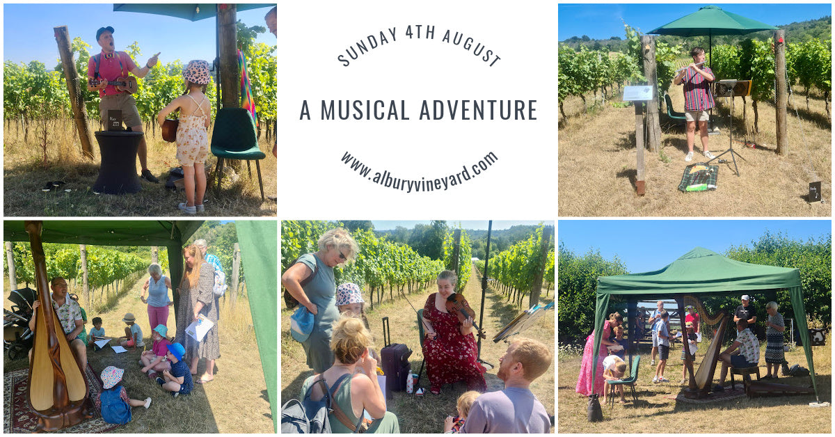 A Musical Adventure at Albury Vineyard