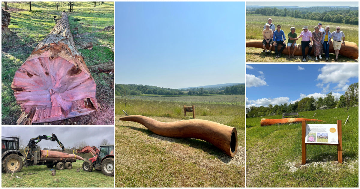 albury vineyard wildlife walk cow horn bench