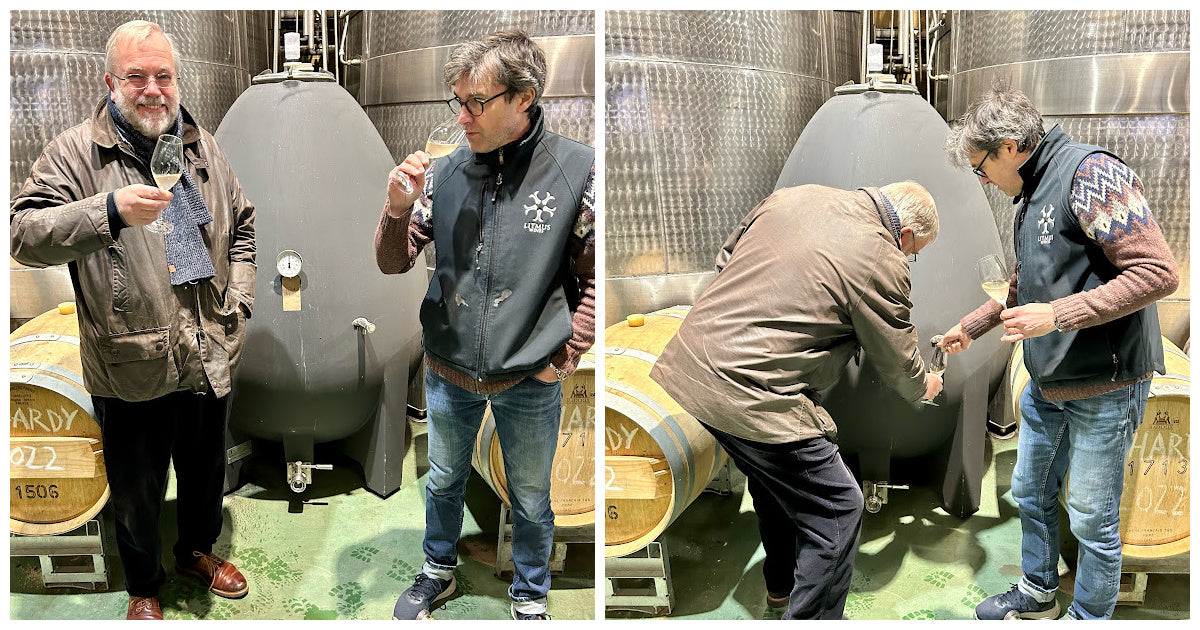 English winemaker using concrete egg for organic wine