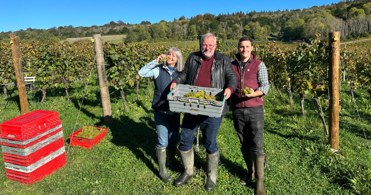 exceptional 2023 harvest for albury organic vineyard team