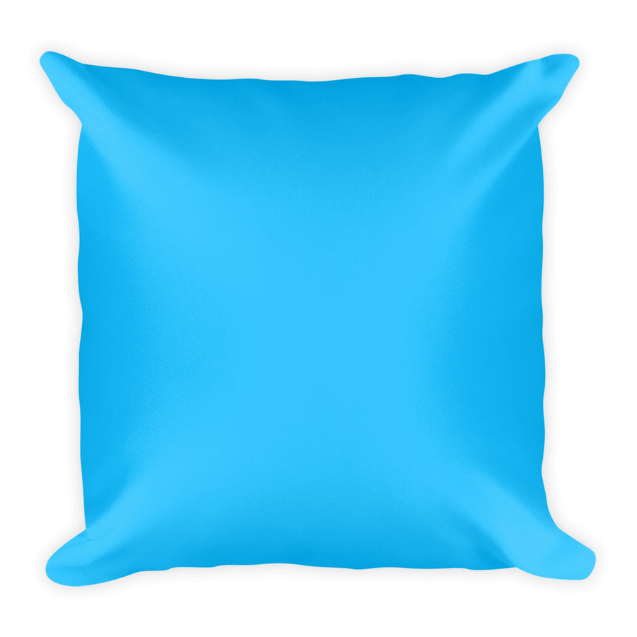 Sky Blue Square Pillow – Basically Pillows