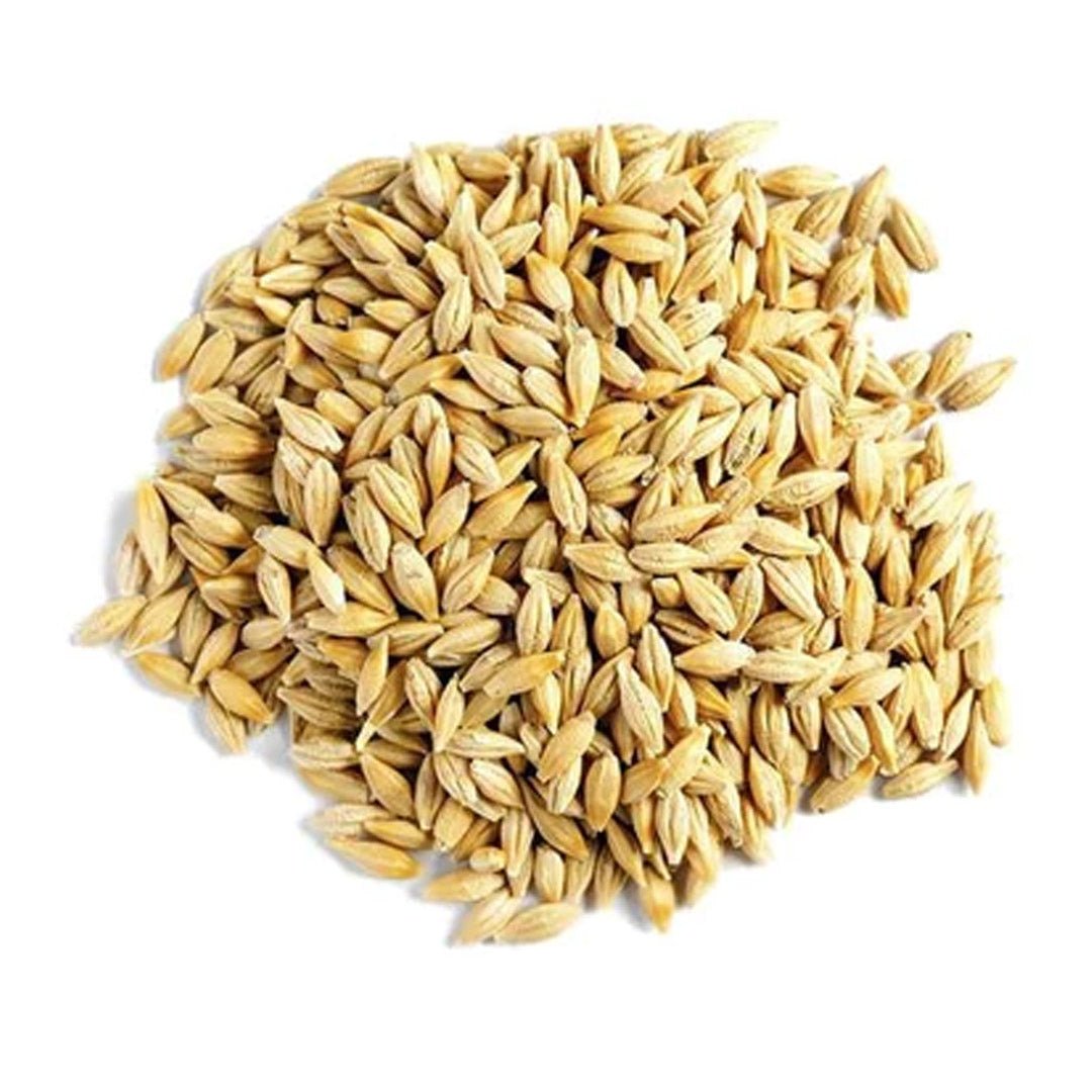 Barley 40 lb - New York Bird Supply product image