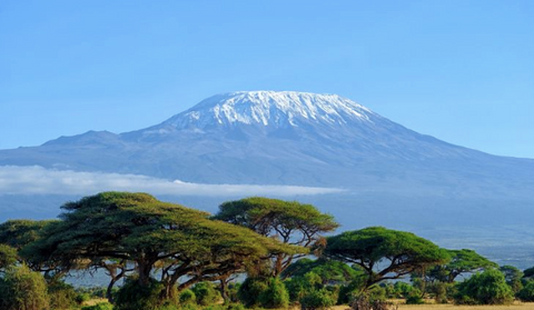 mount Kilimanjaro in Tanzania, Africa during daylight hours 